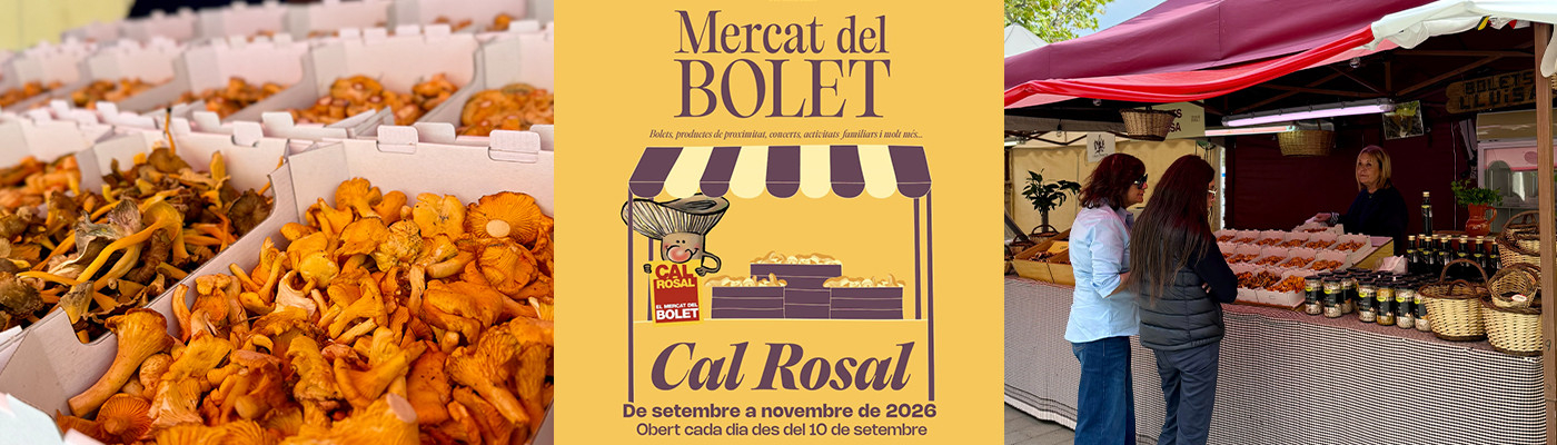 Mesa de trabajo 1.jpg