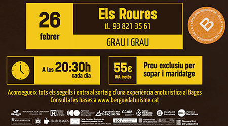 PIXELS ELS ROURES.jpg