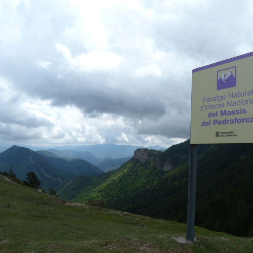 PNIN des del Collell.jpg