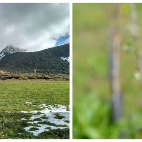 Suc Cal Andreuet.jpg